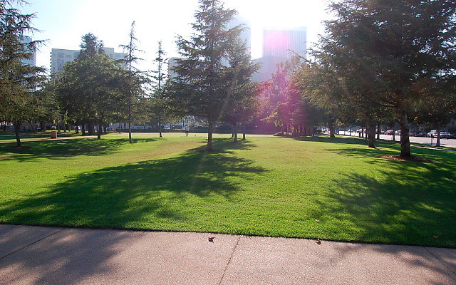 DSC 0399