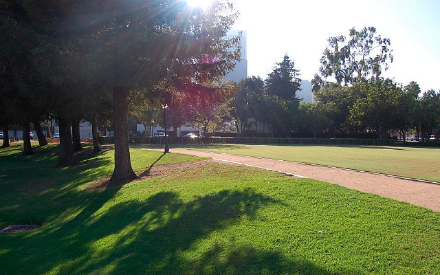 DSC 0410