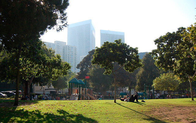 DSC 0437
