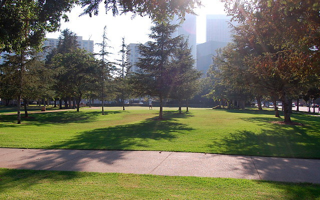 DSC 0394
