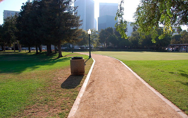 DSC 0406