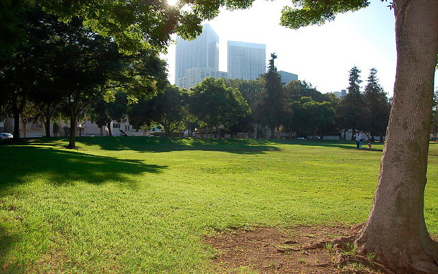 DSC 0426