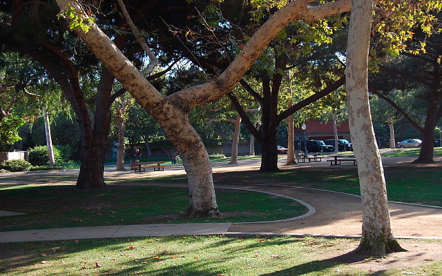 DSC 0440