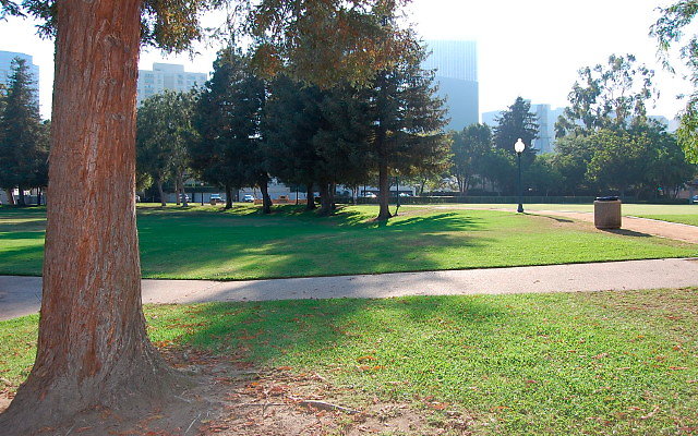 DSC 0401