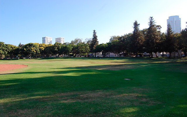 DSC 0407