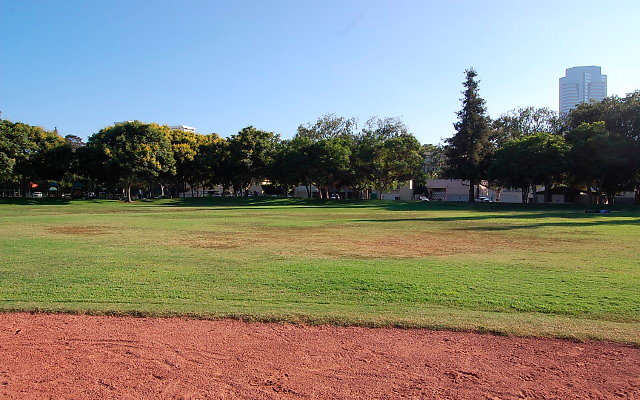 DSC 0411