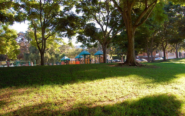 DSC 0425