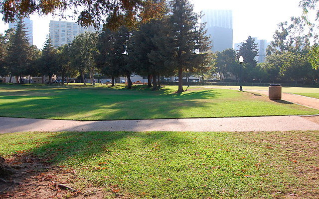 DSC 0402