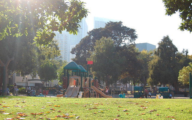 DSC 0435