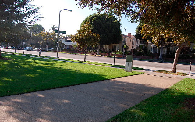 DSC 0400