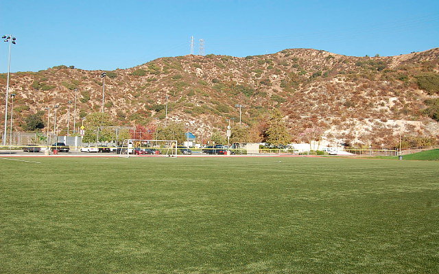 DSC 0314