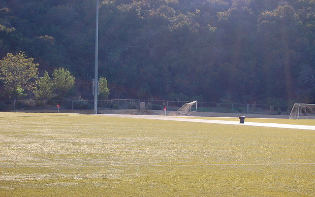 DSC 0335