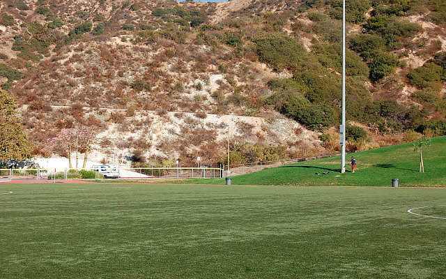 DSC 0317