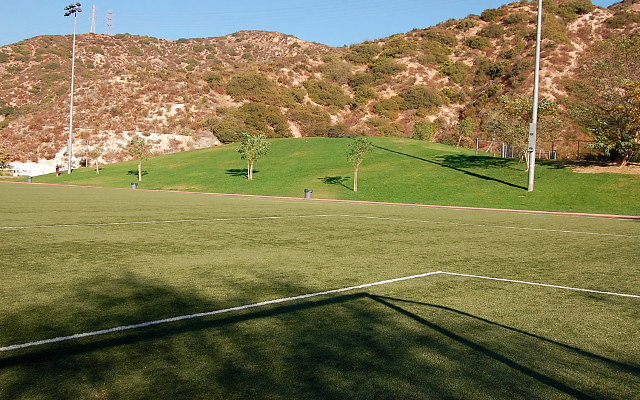 DSC 0326