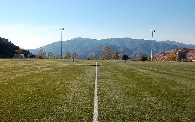 DSC 0321