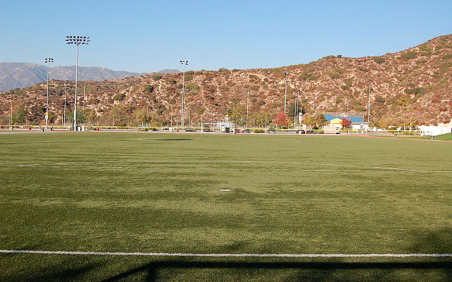 DSC 0325