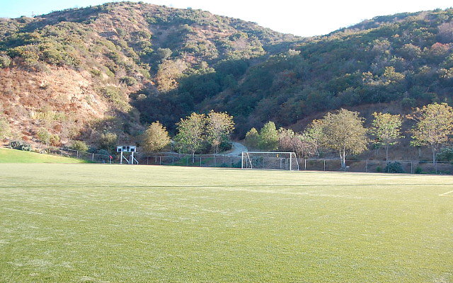 DSC 0316
