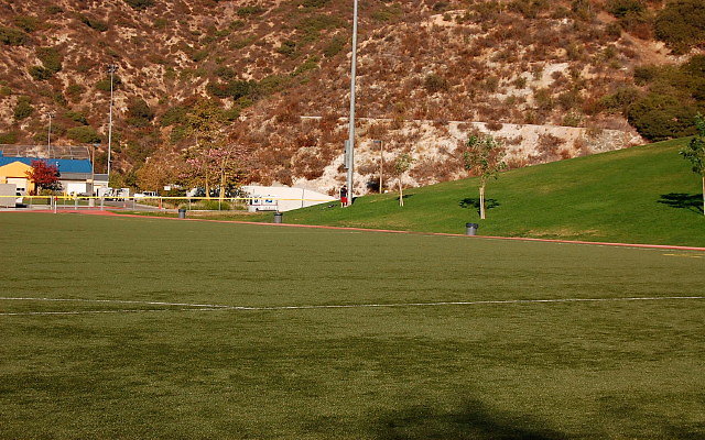 DSC 0329