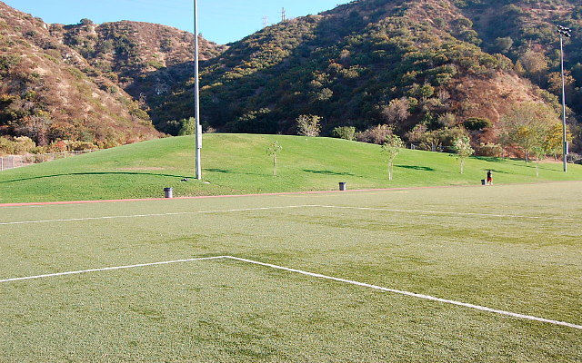 DSC 0330