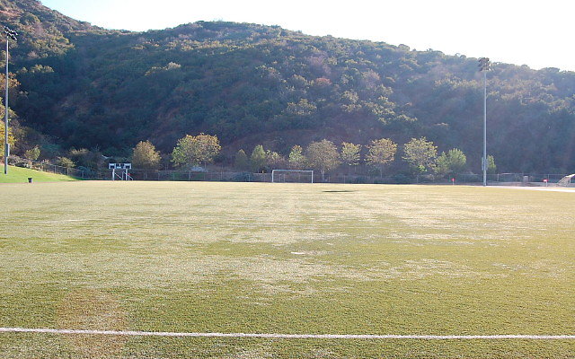 DSC 0331