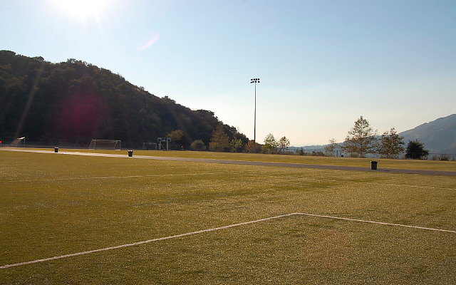 DSC 0332