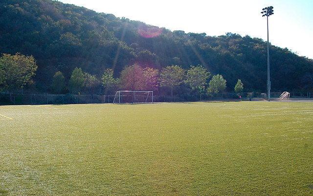 DSC 0320