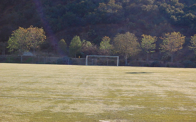DSC 0334