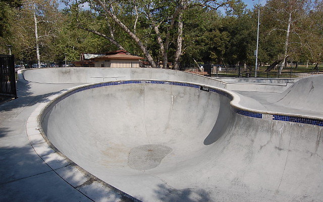 DSC 0031