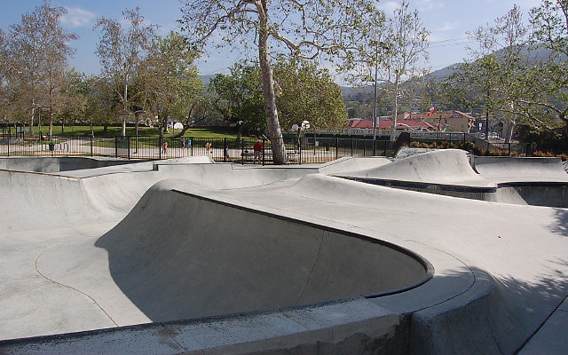 DSC 0040