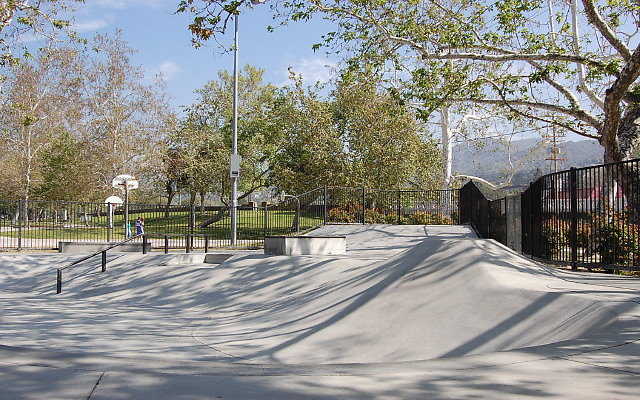 DSC 0029