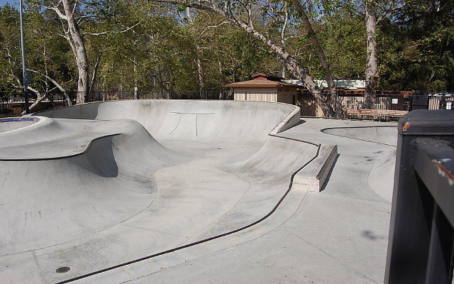 DSC 0013