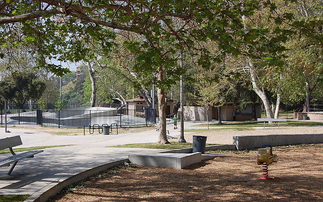 DSC 0059