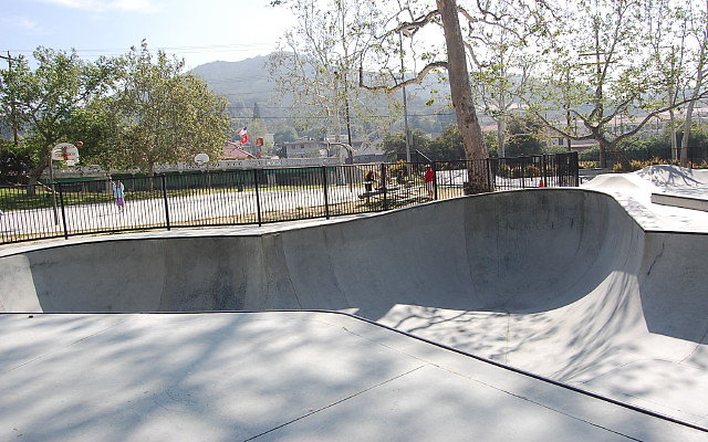 DSC 0003