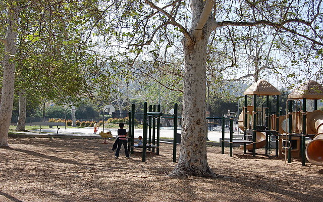 DSC 0063