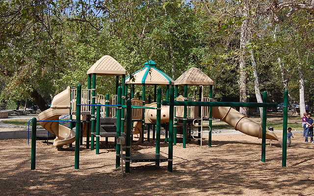 DSC 0060