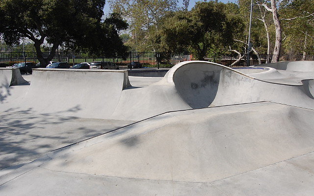 DSC 0020