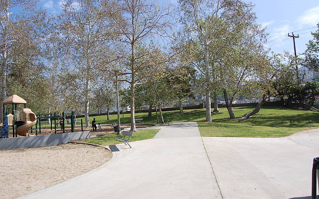 DSC 0050
