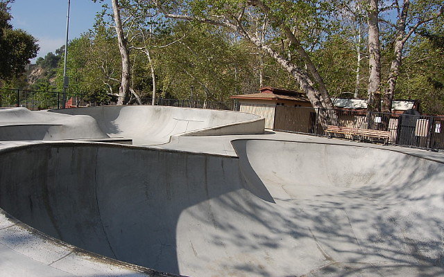 DSC 0010