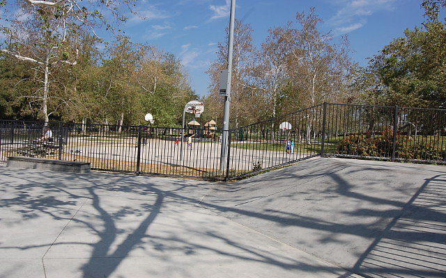 DSC 0024