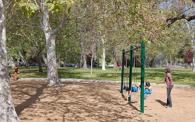 DSC 0061