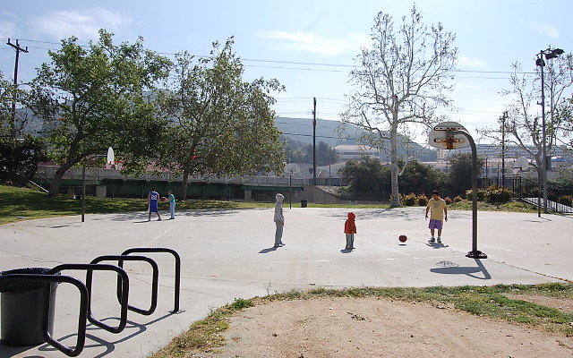 DSC 0051