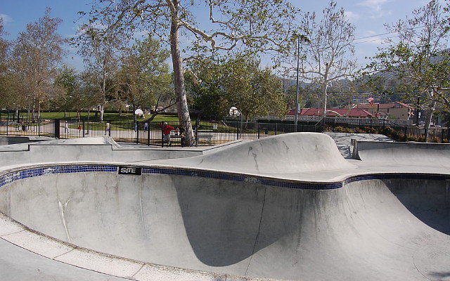DSC 0036