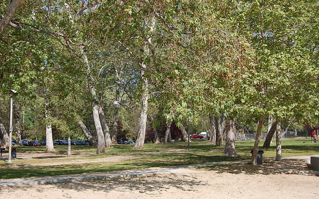 DSC 0056