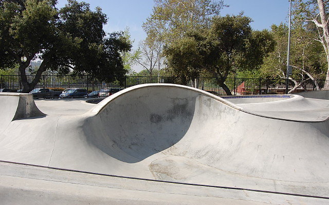 DSC 0012