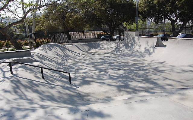 DSC 0019
