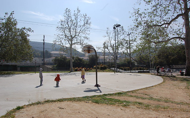 DSC 0049a