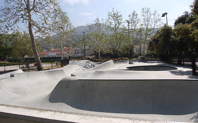 DSC 0041
