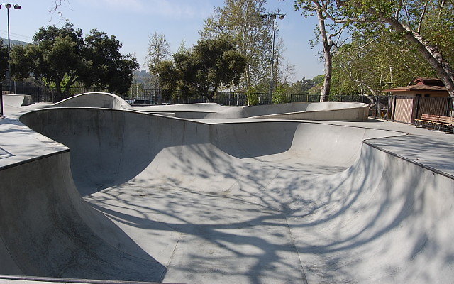DSC 0008