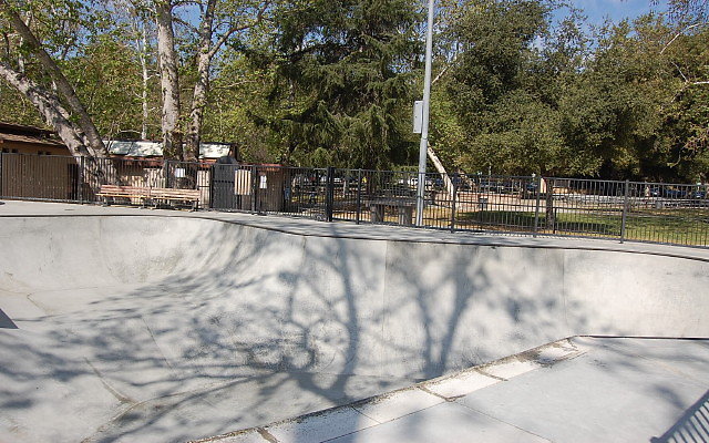 DSC 0011