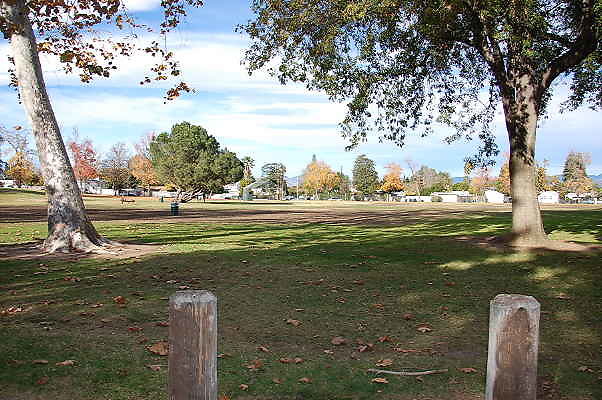 DSC 0129